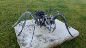 Spinne 3D (2).jpg