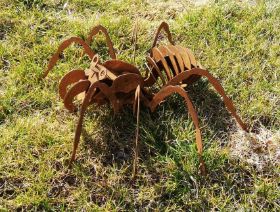 Spinne 3D rost (2).jpg